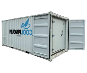 Koel- en vriescontainer 20FT