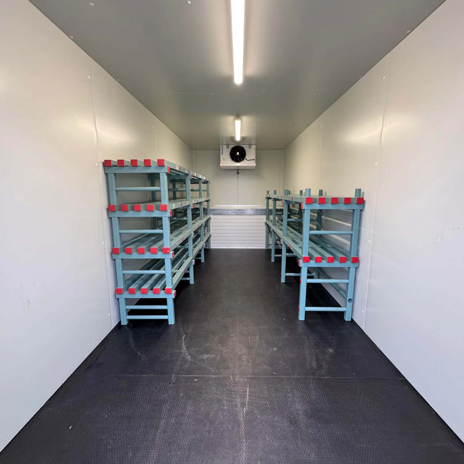 Koel/vriescontainer HACCP 20FT